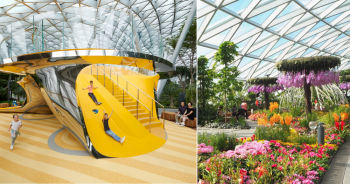 CapitaLand-Malls-Free-Admissions-To-The-Canopy-Park-Promotion-at-Jewel-Changi-Airport-350x184 2-31 Mar 2020: CapitaLand Malls Free Admissions To The Canopy Park Promotion at Jewel Changi Airport