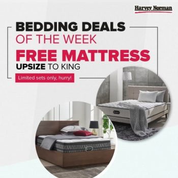 Harvey-Norman-Bedding-Deal-of-the-Week-350x350 6 Jun 2020 Onward: Harvey Norman Bedding Deal of the Week