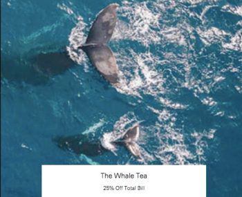 The-Whale-Tea-Promotion-with-HSBC-350x285 3 Jun-30 Dec 2020: The Whale Tea Promotion with HSBC