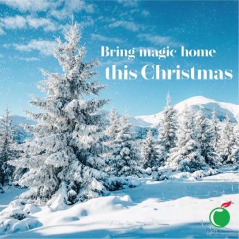 Cold-Storage-Fresh-Christmas-Trees-Pre-Order-Promotion-350x349 1 Nov 2020 Onwards: Cold Storage Fresh Christmas Trees Pre-Order Promotion