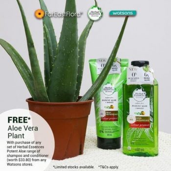 Far-East-Flora-Herbal-Essences-ASEAN-Promotion-at-Watson-350x350 30 Nov 2020 Onward: Far East Flora Herbal Essences ASEAN Promotion at Watson