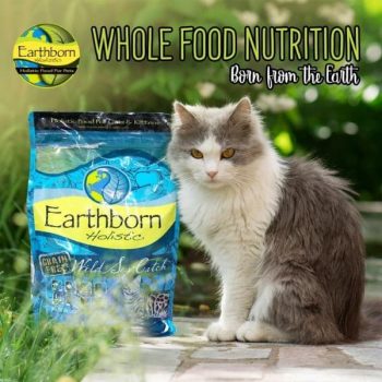 Pets-Station-Earthborn-Holistic-Cat-Recipes-Promotion-350x350 17 Nov 2020 Onward: Pets' Station Earthborn Holistic Cat Recipes Promotion