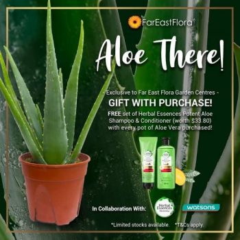 Watsons-Potent-Aloe-Shampoo-Conditioner-Set-Promotion-at-Far-East-Flora--350x350 18 Nov 2020 Onward: Far East Flora Potent Aloe Shampoo and Conditioner Promotion with Herbal Essences ASEAN & Watsons