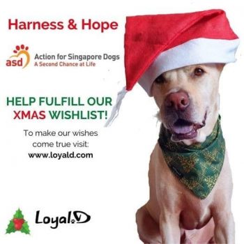 Action-For-Singapore-Dogs-Christmas-Promotion-350x350 14 Dec 2020 Onward: Action For Singapore Dogs Christmas Promotion