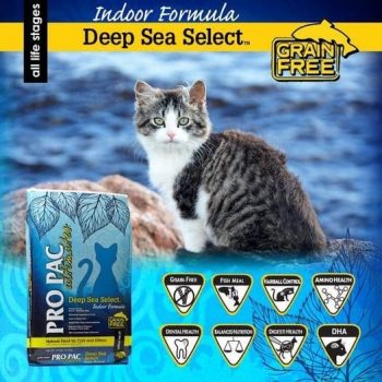 Pets-Station-Pro-Pac-Deep-Sea-Select-6kg-Pack-Promotion-350x350 14 Dec 2020 Onward: Pets' Station Pro Pac Deep Sea Select 6kg Pack Promotion