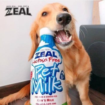 Pets-Station-3-Bottles-Of-1-Litre-Zeal-Pet-Milk-Promotion-350x350 15 Jan 2021 Onward: Pets' Station 3 Bottles Of 1 Litre Zeal Pet Milk Promotion