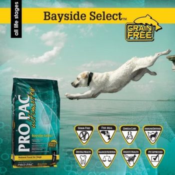 Pets-Station-PRO-PAC-Ultimates-Bayside-Select-Promotion-350x350 11 Jan 2021 Onward: Pets' Station PRO PAC Ultimates Bayside Select Promotion