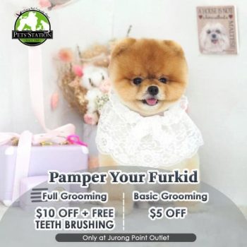 Pets-Station-Teeth-Brushing-Promotion-350x350 12-15 Apr 2021: Pets' Station Teeth Brushing Promotion at Jurong Point