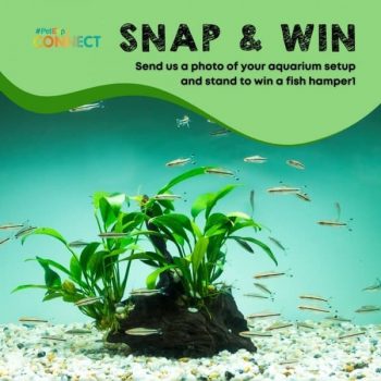 Pet-Expo-Fish-Hamper-Giveaways-350x350 11-12 May 2021: Pet Expo Fish Hamper Giveaways