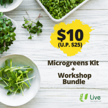 U-Live-Special-Promotion-350x350 28 Jul 2021: U Live Microgreens Kit + Virtual Workshop Bundle Promotion