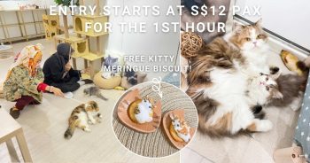 Cat-Cafe-Space-Special-Deal-350x184 22 Sep 2021 Onward: Cat Cafe Space Special Deal