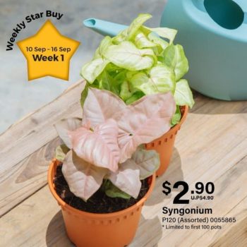 Far-East-Flora-Weekly-Star-Buy-Promotion-350x350 10-16 Sep 2021: Far East Flora Weekly Star Buy Promotion