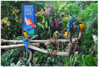 Jurong-Bird-Park-Special-Deal-350x235 Now till 30 Sep 2021: Jurong Bird Park Special Deal