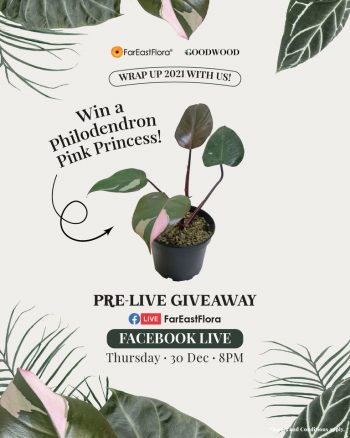 Far-East-Flora-Pre-Live-Giveaway-350x438 Now till 29 Dec 2021: Far East Flora Pre Live Giveaway