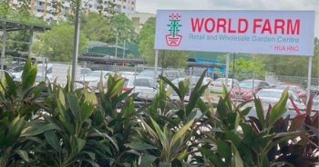 World-Farm-Plant-Nursery-Opening-Special-at-Jurong-On-350x184 29 Dec 2021: World Farm Plant Nursery Opening Special at Jurong On