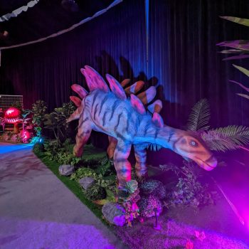New-Opened-Jurassic-Dinosaur-–-Adventure-Park-Interactive-Indoor-Playground-at-DMarquee-Downtown-East-5-350x350 24 Dec 2021 to 13 Feb 2022: New-Opened Jurassic Dinosaur – Adventure Park Interactive Indoor Playground at D'Marquee, Downtown East