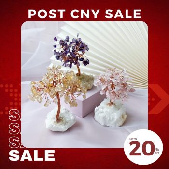 New-Age-FSG-Our-Post-CNY-Sale7-350x350 21-27 Feb 2022: New Age FSG Our Post CNY Sale