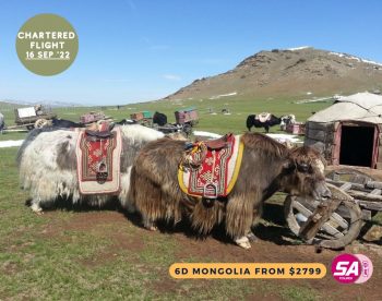 16-Sep-2022-SA-Tours-deluxe-traditional-Mongolian-Ger-Promotion1-350x276 16 Sep 2022: SA Tours deluxe traditional Mongolian Ger Promotion