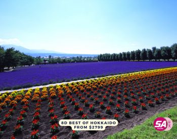 22-Jul-2022-SA-Tours-8D-in-Hokkaido-Promotion4-350x276 22 Jul 2022: SA Tours 8D in Hokkaido Promotion