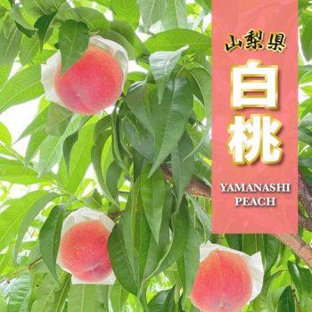 24-Jun-2022-Onward-TAMPOPO-Japanese-Peach-from-Yamanashi-Promotion1-350x350 24 Jun 2022 Onward: TAMPOPO Japanese Peach from Yamanashi Promotion