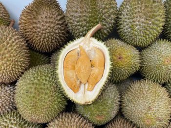 Giant-Durian-Sale-4-350x263 21-30 Jun 2022: Giant Durian Sale