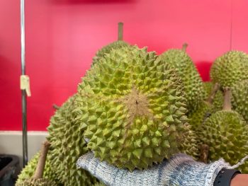 Giant-Durian-Sale-5-350x263 21-30 Jun 2022: Giant Durian Sale