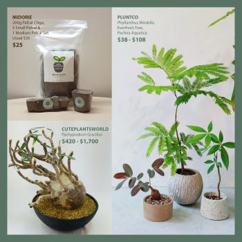 Isetan-Home-Garden-Pop-up2-350x350 3-5 Jun 2022: Isetan Home Garden Pop-up