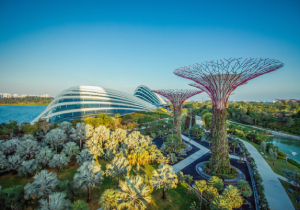 1-31-Jul-2022-Gardens-By-The-Bay-50-savings-Promotion-with-SAFRA 1-31 Jul 2022: Gardens By The Bay  50% savings Promotion with SAFRA
