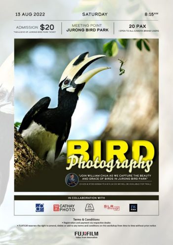 13-Aug-2022-SLR-Revolution-Bird-Photography-Promotion-with-Fujifilm-350x495 13 Aug 2022: SLR Revolution Bird Photography Promotion with Fujifilm
