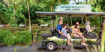 15-Sep-31-Dec-2022-Singapore-Zoo-20-off-Promotion-with-UOB-Cards-350x175 15 Sep-31 Dec 2022: Singapore Zoo 20% off Promotion with UOB Cards