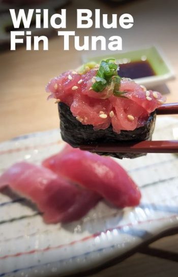 6-Sep-2022-Onward-Itacho-Sushi-Wild-Blue-Fin-Tuna-Promotion-350x544 6 Sep 2022 Onward: Itacho Sushi Wild Blue Fin Tuna Promotion