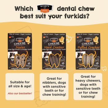 Pets-Station-Cheese-Dental-Chews-Deal-1-350x350 29 Sep 2022 Onward: Pets' Station Cheese Dental Chews Deal