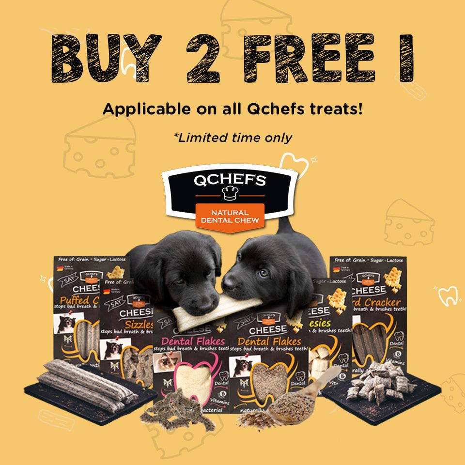 qchefs dental dog chews