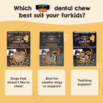 Pets-Station-Cheese-Dental-Chews-Deal-350x350 29 Sep 2022 Onward: Pets' Station Cheese Dental Chews Deal
