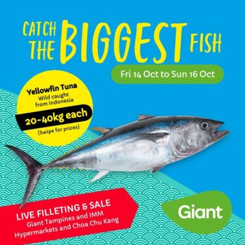 Giant-Yellowfin-Tuna-Promotion-350x350 12 Oct 2022 Onward: Giant Yellowfin Tuna Promotion
