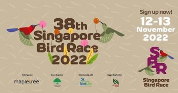 Singapore-Bird-Race-with-Mapletree-Arts-in-the-City-350x183 12-13 Oct 2022: Singapore Bird Race with Mapletree Arts in the City