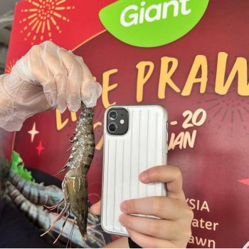 Giant-Live-Prawn-Sale-1-350x350 19-20 Jan 2023: Giant Live Prawn Sale