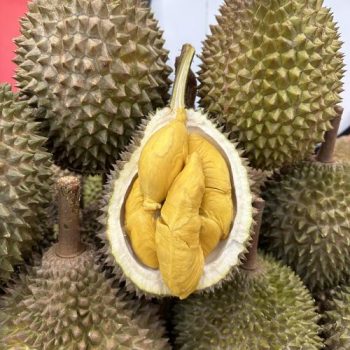 Giant-Durian-Sale-at-Tampines-2-350x350 Now till 22 Jun 2023: Giant Durian Sale at Tampines
