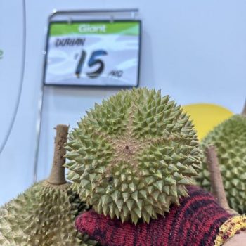 Giant-Durian-Sale-at-Tampines-3-350x350 Now till 22 Jun 2023: Giant Durian Sale at Tampines