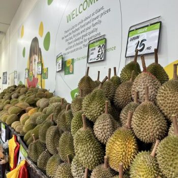 Giant-Durian-Sale-at-Tampines-4-350x350 Now till 22 Jun 2023: Giant Durian Sale at Tampines