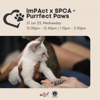 imPact-x-SPCA-Purrfect-Paws-350x350 21 Jun 2023: imPact x SPCA - Purrfect Paws