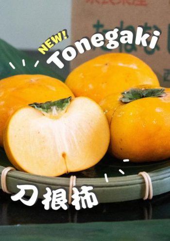 Itacho-Sushi-Tonegaki-350x495 19 Oct 2023 Onward: Itacho Sushi Tonegaki Special