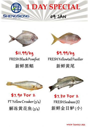 Sheng-Siong-Supermarket-Fresh-Seafood-Promotion-1-1-350x505 9 Jan 2024: Sheng Siong Supermarket - Fresh Seafood  Promotion