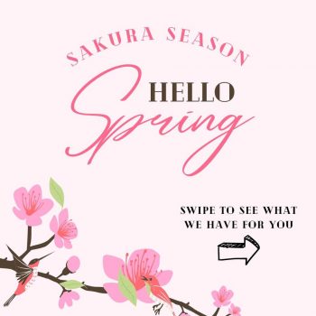 Dulcet-Studio-Sakura-Season-Special-350x350 11 Mar 2024 Onward: Dulcet & Studio - Sakura Season Special