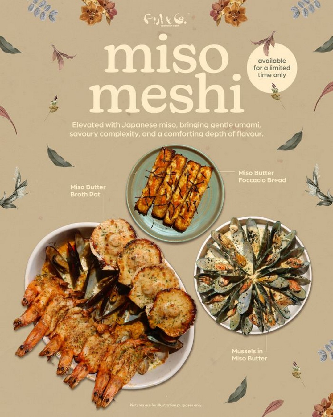 Fish-Co-Miso-Meshi-Seasonal-Menu-Limited-Time-Promotion 13 January 2026 onwards: Fish & Co: Miso Meshi Seasonal Menu: Limited-Time Promotion