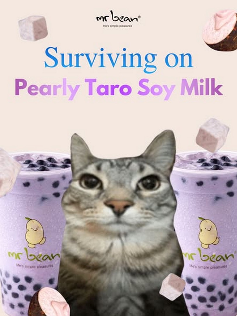 Mr-Bean-Singapore-Pearly-Taro-Soy-Milk-Promotion-2 29 July 2026 Onwards: Mr Bean Singapore Pearly Taro Soy Milk Promotion: Enjoy 50% Off Your Second Soy Drink