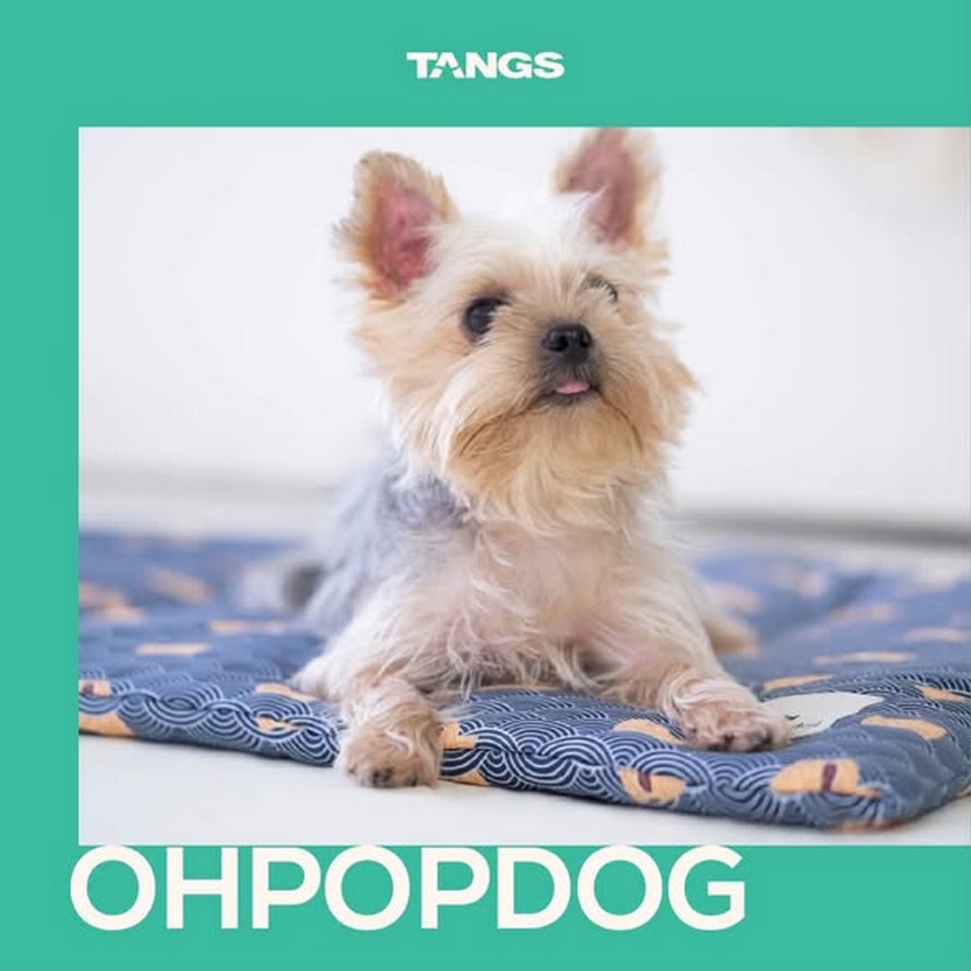 TANGS-Pets-Corner-Promotion-at-Tang-Plaza-1 3-30 July 2026: TANGS Pets Corner Promotion at Tang Plaza – Discover Stylish Pet Essentials, Accessories and Smart Care Products in Singapore