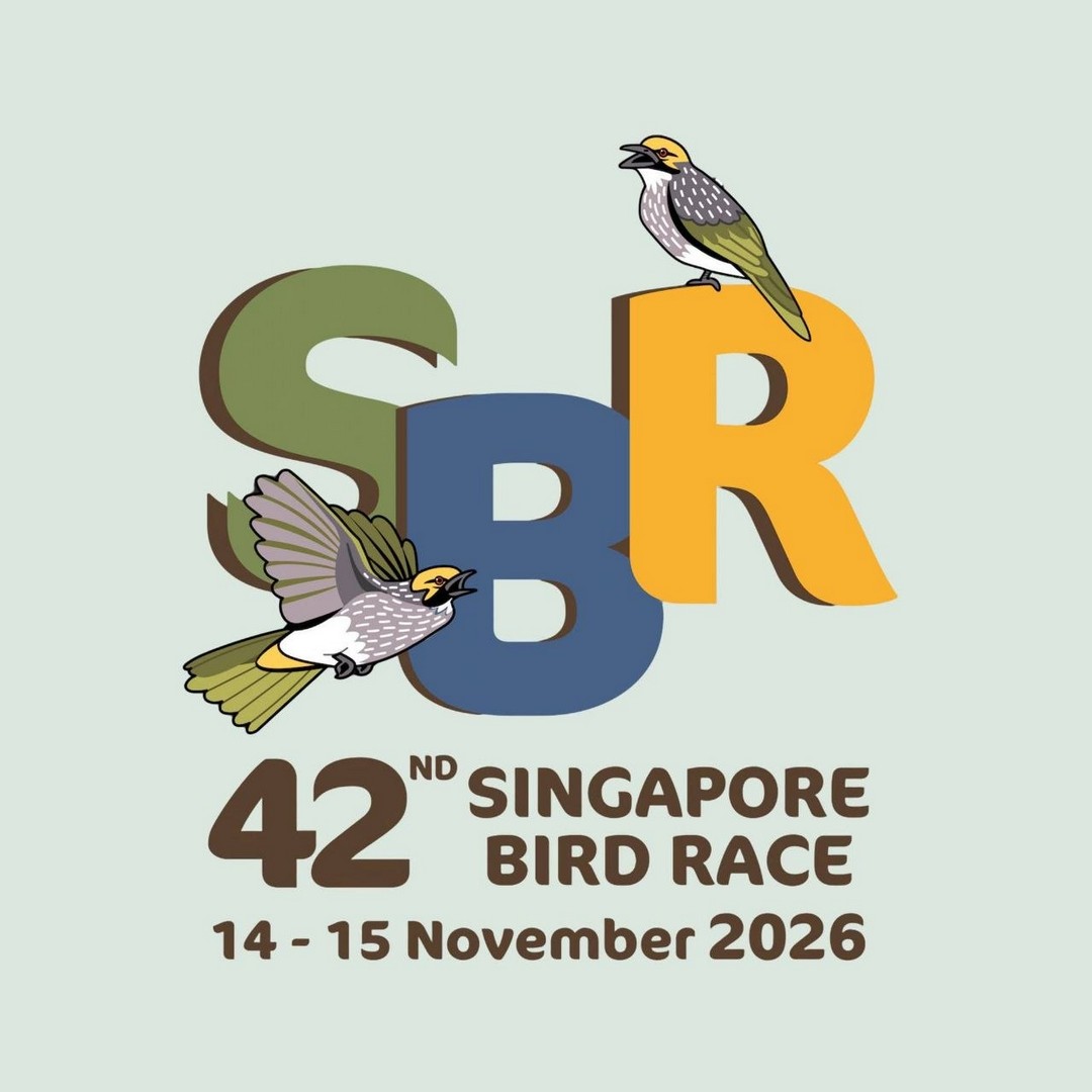 Nature-Society-Singapore-42nd-Singapore-Bird-Race-2026-Promotes 14-15 November 2026: Nature Society Singapore: 42nd Singapore Bird Race 2026 Promotes Birdwatching and Songbird Conservation
