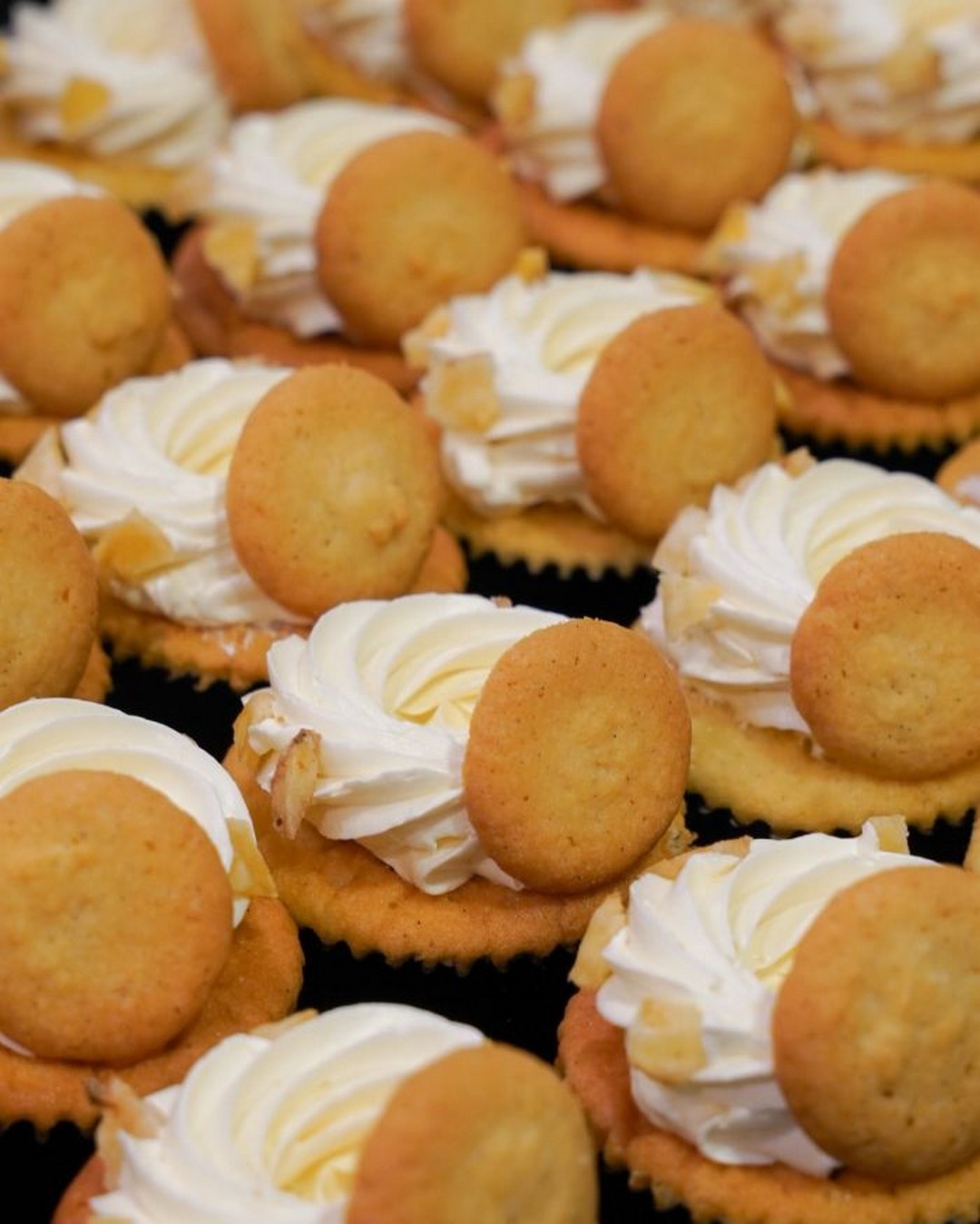 Plain-Vanilla-Banana-Pudding-Cupcake-Limited-Time-Promotion 21 August-8 September 2026: Plain Vanilla: Banana Pudding Cupcake Limited-Time Promotion in Singapore