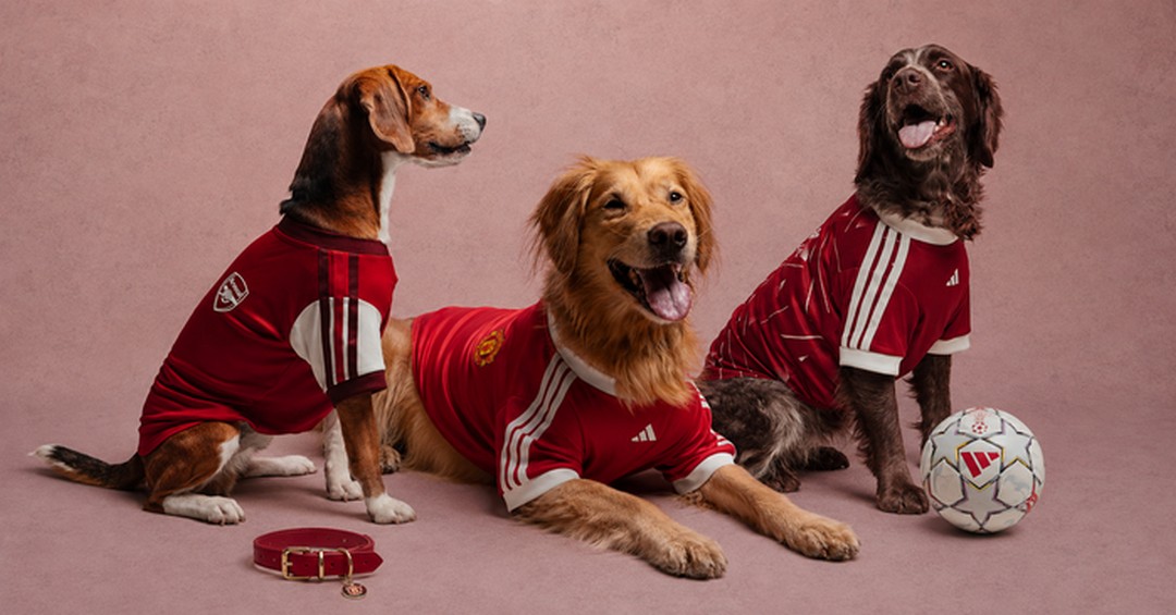 adidas-Singapore-Clubs-Pet-Collection-Promotion 29 August 2026 onwards: adidas Singapore Clubs Pet Collection Promotion – Football Jerseys And Collars For Dogs And Four-Legged Fans